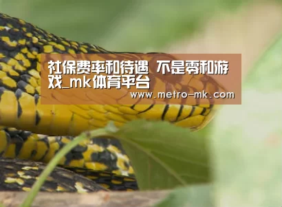 社保费率和待遇 不是零和游戏_mk体育平台(图3) mk体育官网
