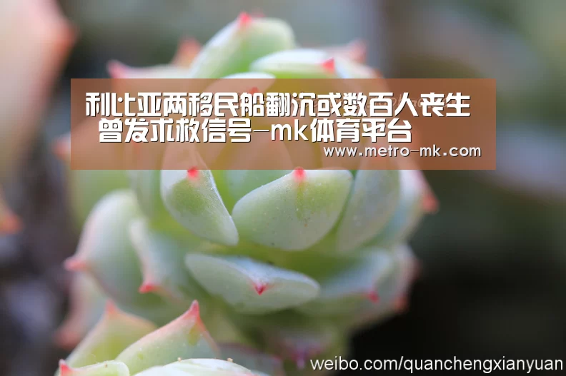 利比亚两移民船翻沉或数百人丧生 曾发求救信号-mk体育平台(图1) mk体育官网