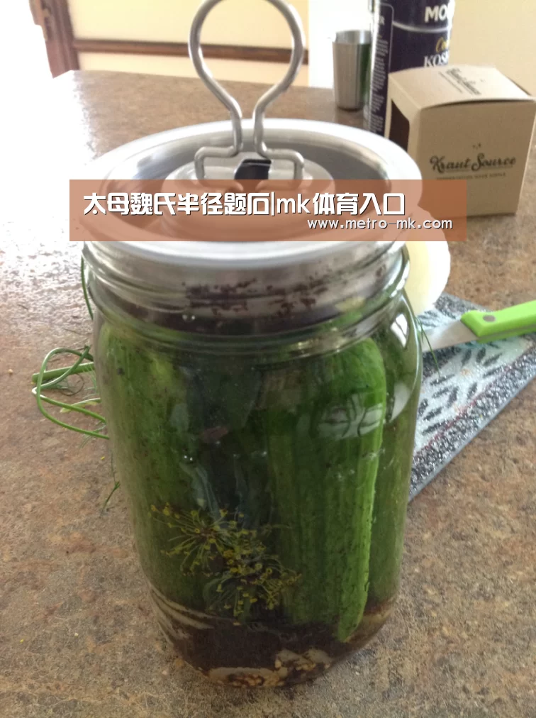 太母魏氏半径题石|mk体育入口(图3) mk体育平台