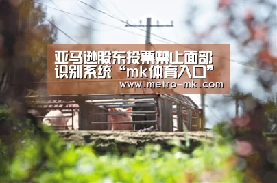 亚马逊股东投票禁止面部识别系统“mk体育入口”(图1) mk sports