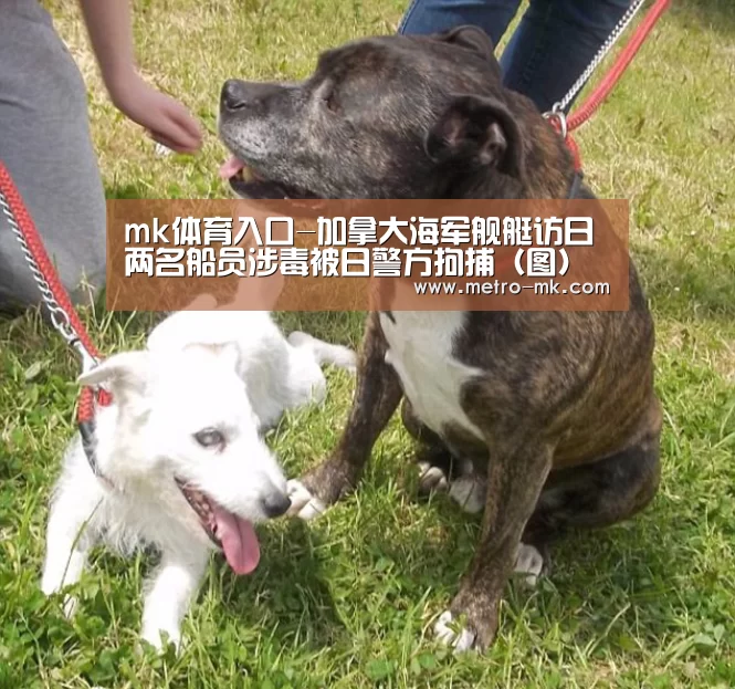 mk体育入口-加拿大海军舰艇访日 两名船员涉毒被日警方拘捕(图)(图1) mk体育官网