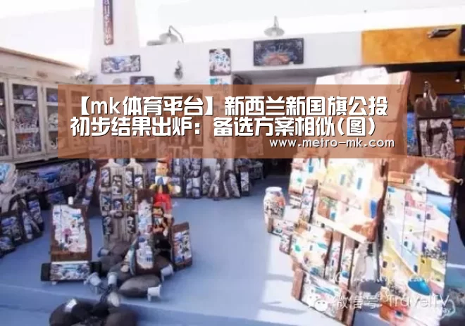 【mk体育平台】新西兰新国旗公投初步结果出炉:备选方案相似(图)(图1) mk体育官网