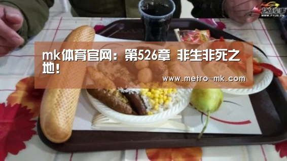 mk体育官网:第526章 非生非死之地!(图1) mk体育官网