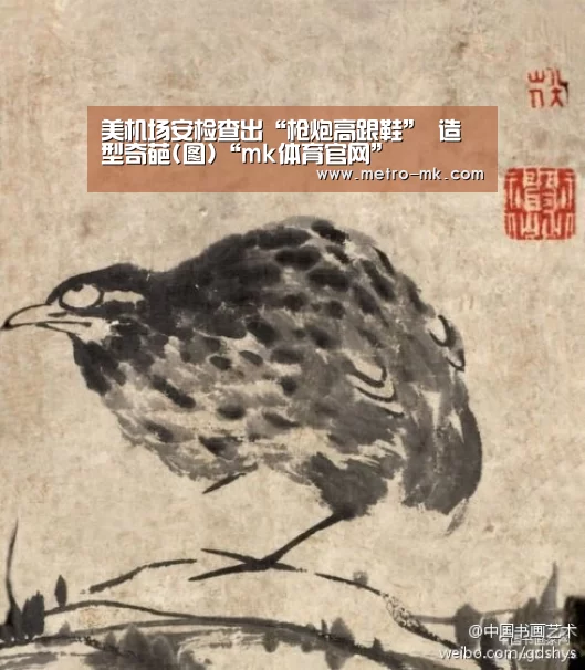 美机场安检查出“枪炮高跟鞋” 造型奇葩(图)“mk体育官网”(图1) mk体育官网