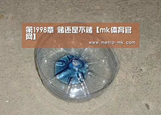 第1998章 赌还是不赌【mk体育官网】(图1) mk sports
