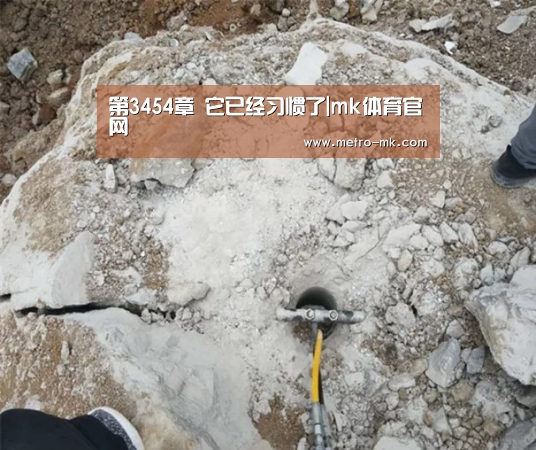 第3454章 它已经习惯了|mk体育官网(图4) mk体育入口