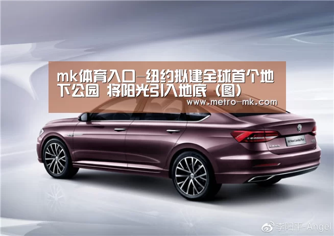 mk体育入口-纽约拟建全球首个地下公园 将阳光引入地底(图)(图1) mk体育官网