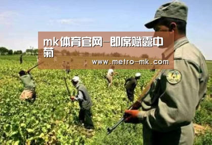 mk体育官网-即席赋露中菊(图3) mk体育入口